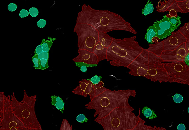 Dynamic Content Image